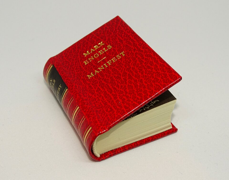 Friedrich engels mini book politically