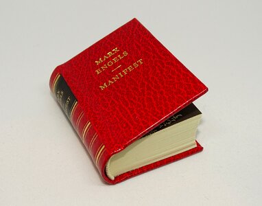 Friedrich engels mini book politically