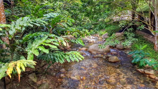 Outdoors wood landscape photo