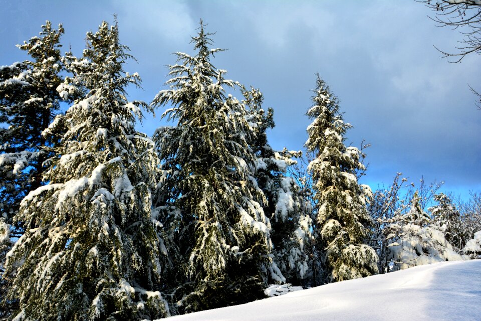 Blue sky snow winter photo