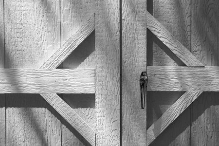 Door texture rustic