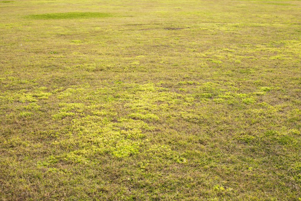 Field football area