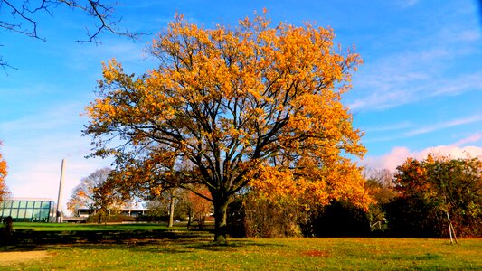 Landscape nature freiburg