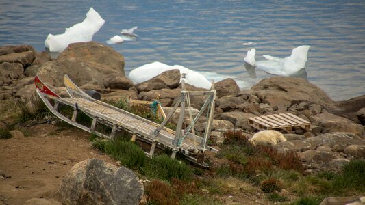 Summer arctic polar