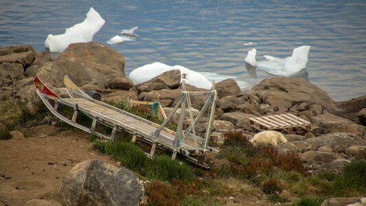 Summer arctic polar photo