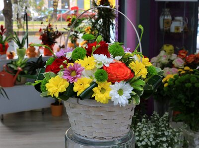 Bouquet flora flower arrangement photo