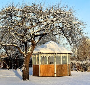 Nature snow pavilion photo