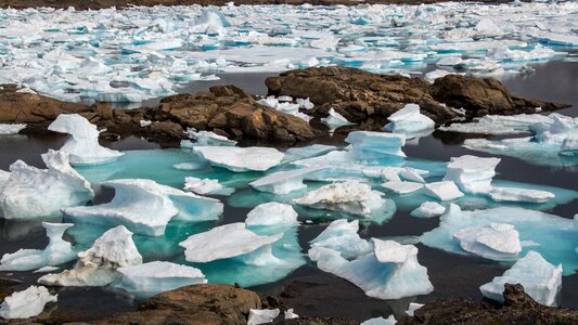 Sea wilderness ice