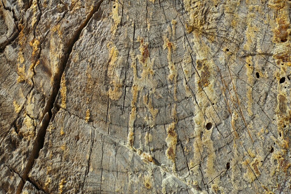 Macro detail background