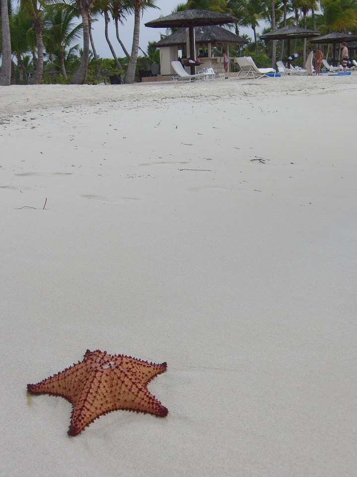 Tropical vacation holiday