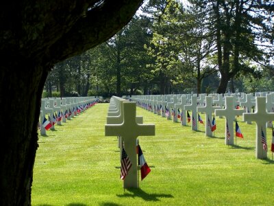 Tree remembrance cross