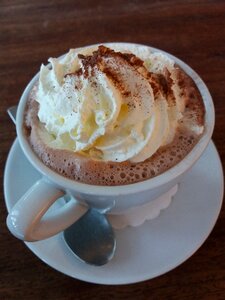 Dessert cup chocolate