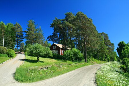 Nature road summer