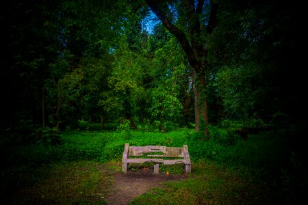 Grass bench outdoors photo