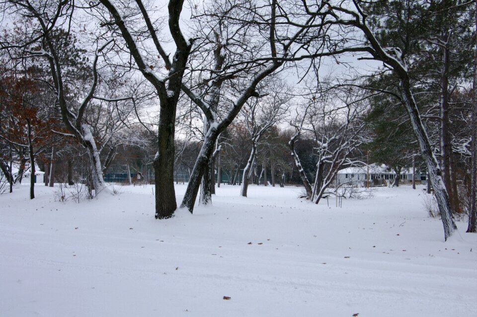 Cold landscape winter wonderland photo