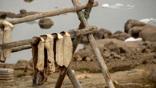 Wood wooden racks for drying fish photo