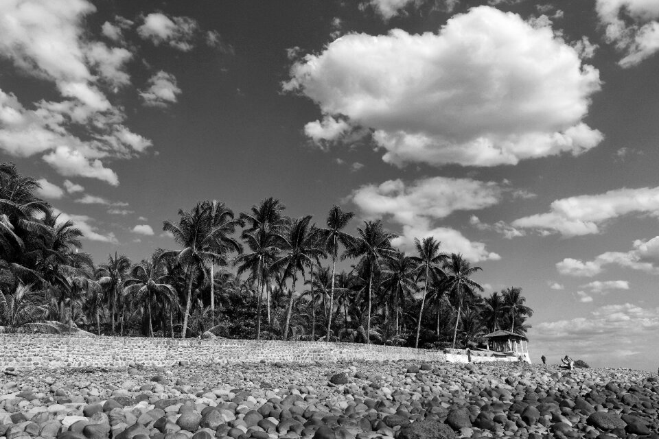 Nature panoramic landscape