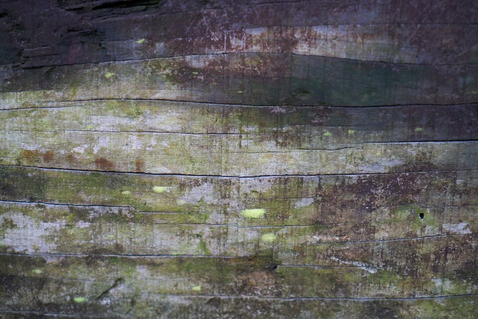 Pattern brown detail