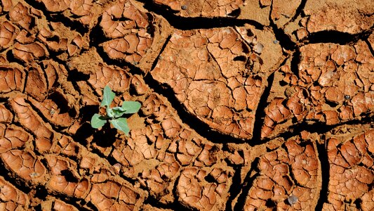 Drought nature desert photo