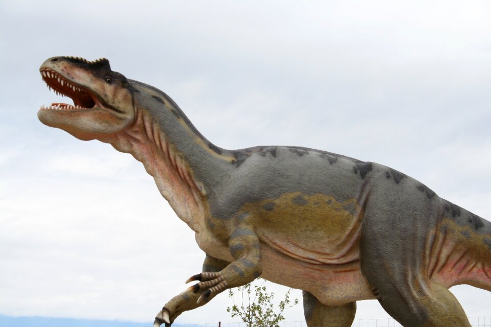Nature animal world paleontology