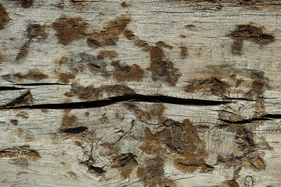Macro detail background