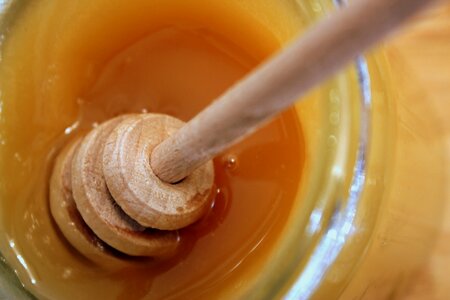 Spoon honey bee