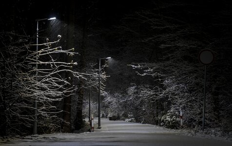 Nature outdoors night