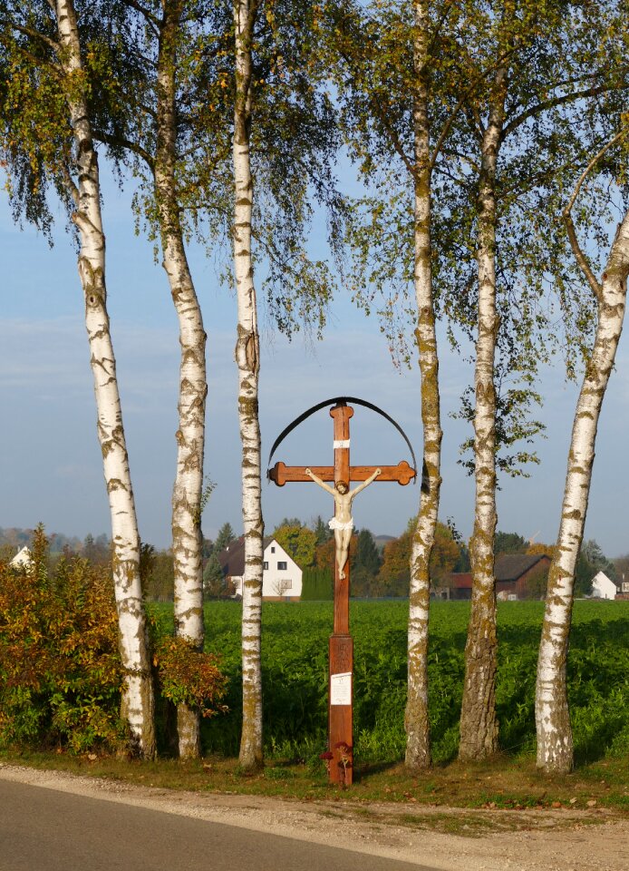 Landscape birch wayside cross