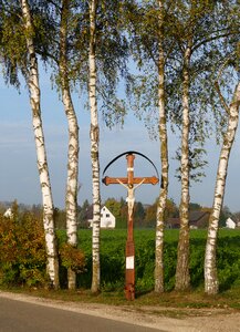 Landscape birch wayside cross