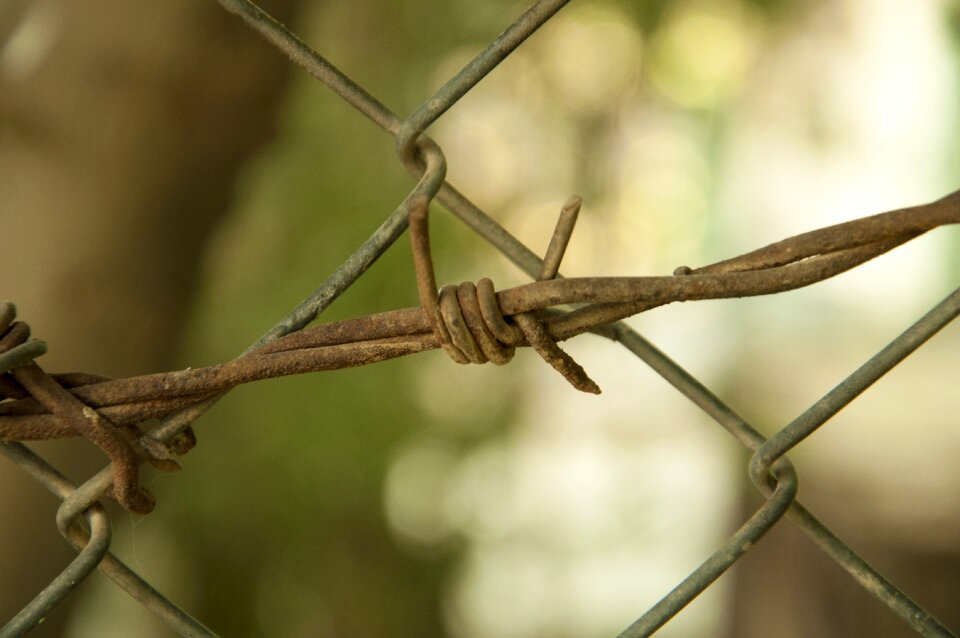 Nature barbed wire