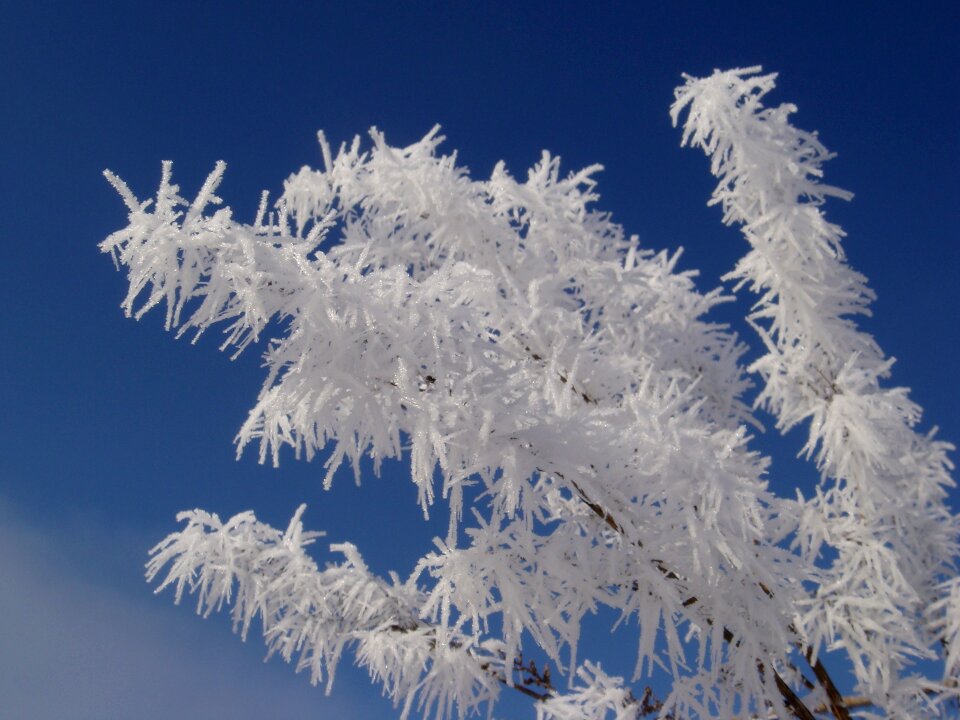 Season frozen frosty weather
