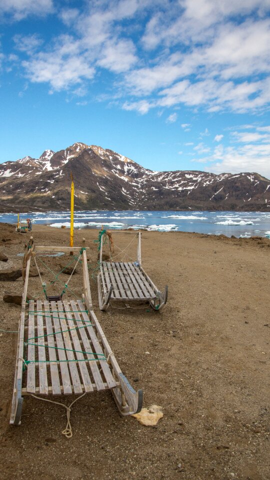 Summer arctic polar