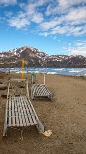 Summer arctic polar