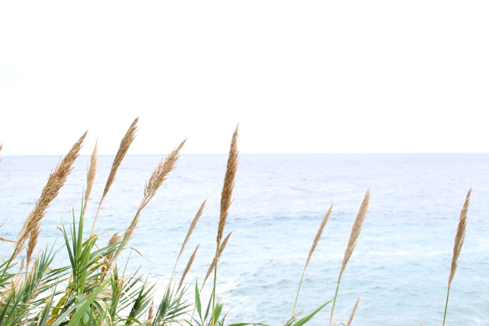Water sky beach