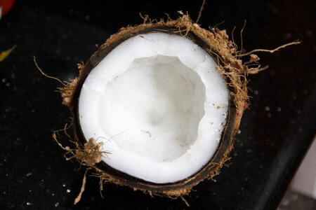 Coconut fruit black fruits