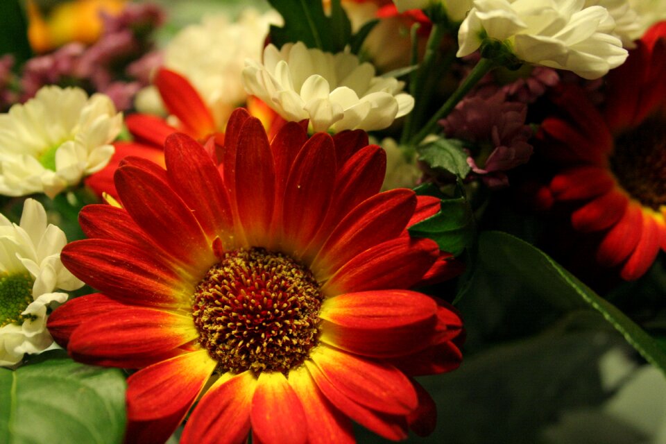 Flowers garden sheet