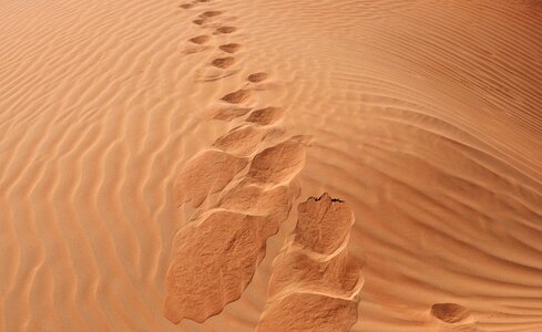 Arid footprint photo