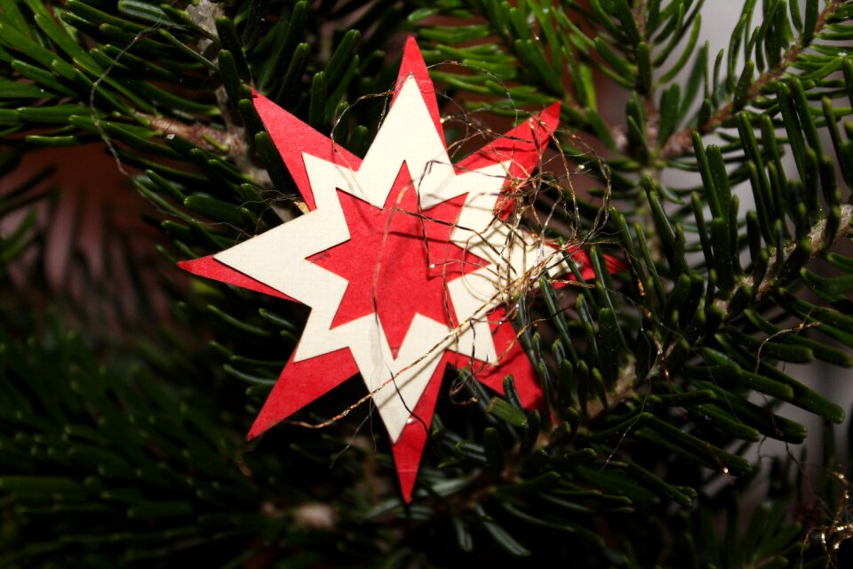 Christmas winter ornament