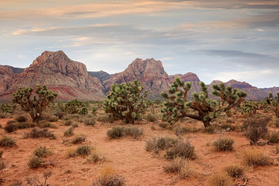 Nature outdoors canyon photo