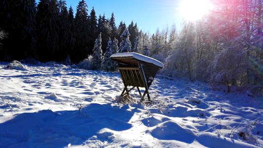 Nature frost teutoburg forest