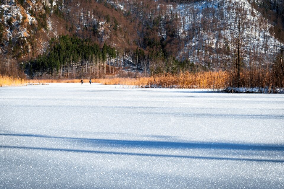 Nature cold landscape