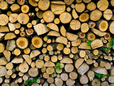 Firewood holzstapel forestry