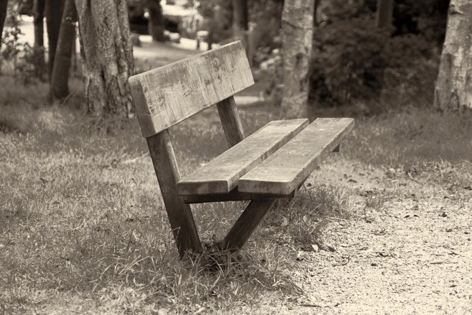 Outdoor nature furniture