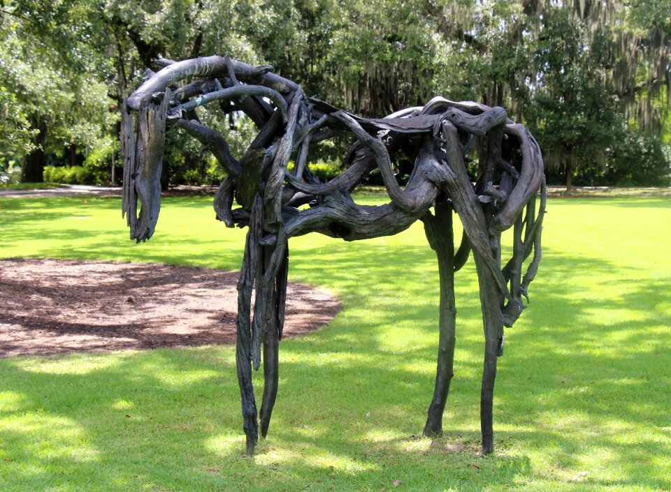 Horse botany garden