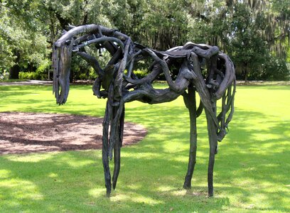 Horse botany garden
