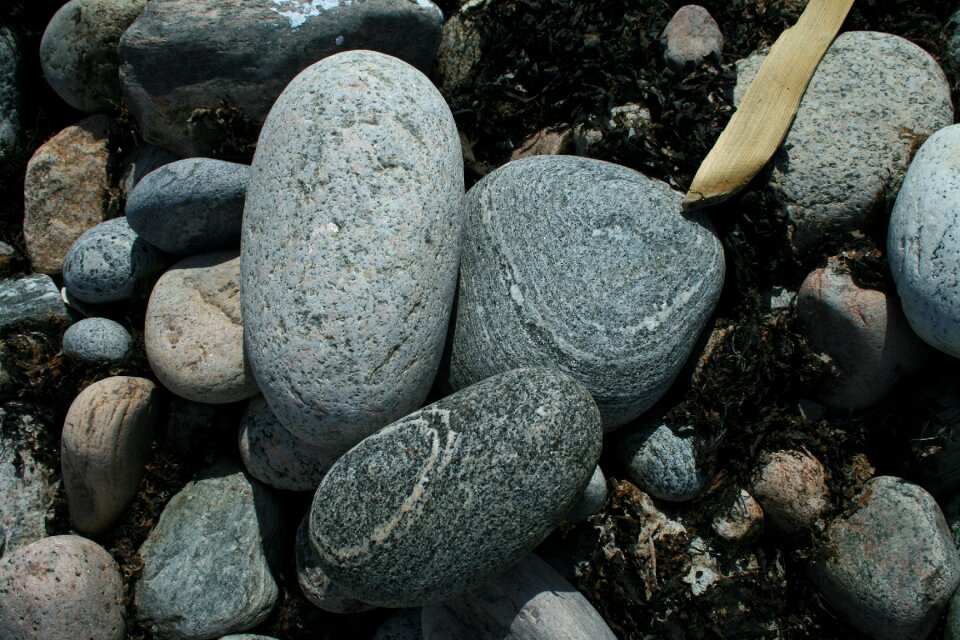 Nature beach coast