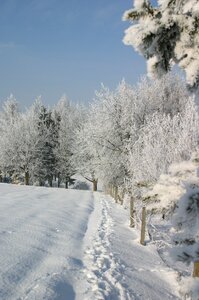 Cold frozen landscape