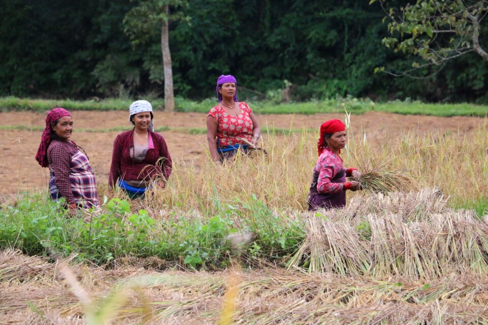 Farming lifestyle nepal
