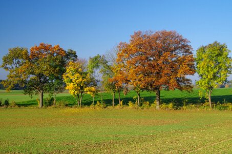 Autumn season field photo