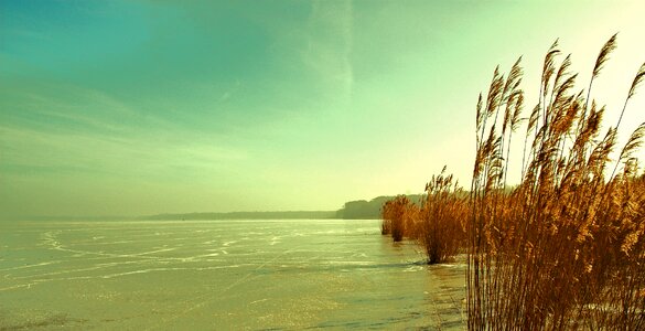 Sky winter dawn